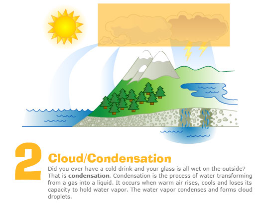 2. Cloud/Condensation Did you ever have a cold drink and your glass is all wet on the outside? That's condensation. Condensation is the process of water transforming from a gas into a liquid. It occurs when warm air rises, cools, and loses its capacity to hold water vapor. The water vapor condenses and forms cloud droplets.