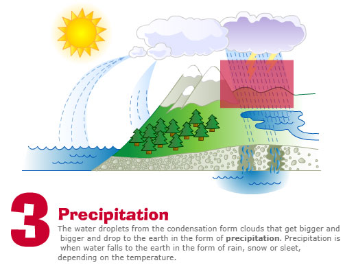3. Precipitation The water droplets from the condensation from clouds that get bigger and bigger and drop to the earth in the form or precipitation. Precipitation is when water falls to the earth in the form of rain, snow or sleet, depending on the temperature.